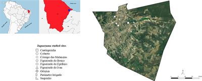 Trypanosomatid Richness Among Rats, Opossums, and Dogs in the Caatinga Biome, Northeast Brazil, a Former Endemic Area of Chagas Disease